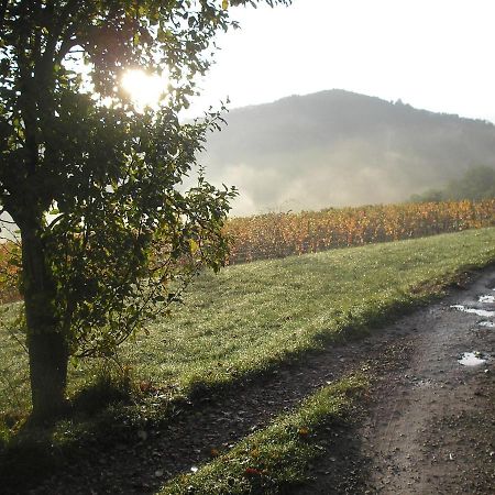 Grange Renovee En Pleine Nature Valady المظهر الخارجي الصورة